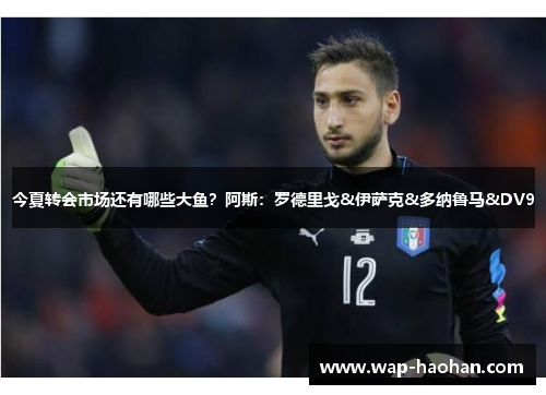 今夏转会市场还有哪些大鱼？阿斯：罗德里戈&伊萨克&多纳鲁马&DV9