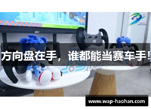 方向盘在手，谁都能当赛车手！